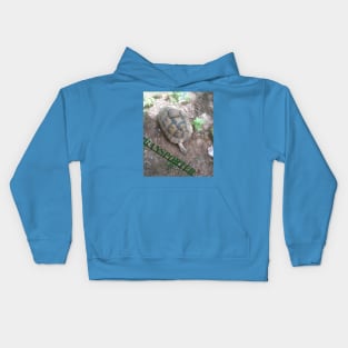 Transporter Kids Hoodie